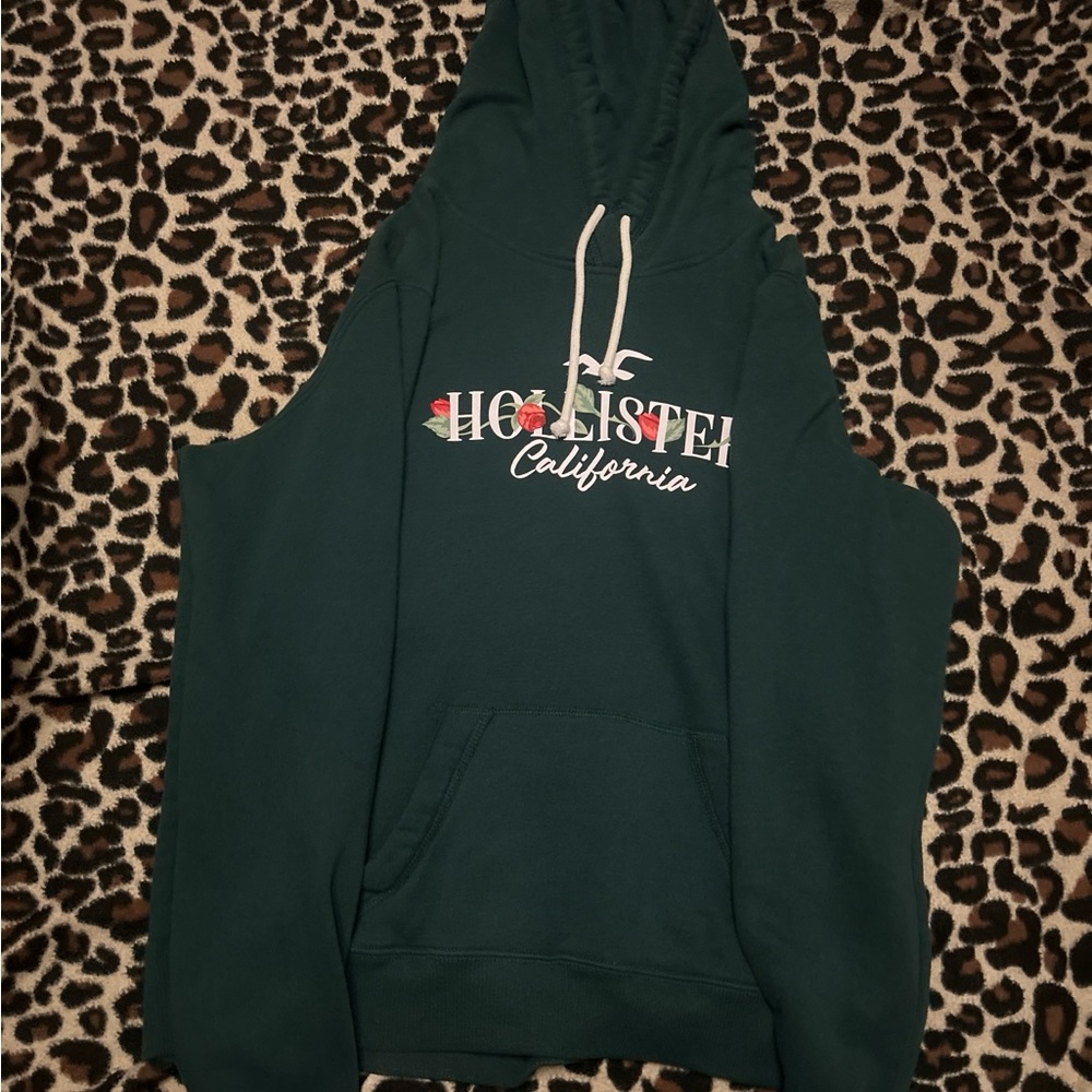 Hollister Green Men's Sweater